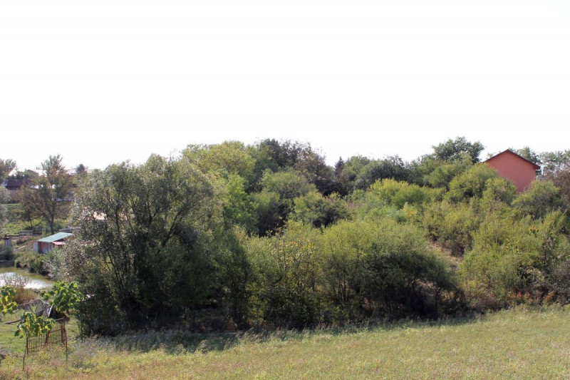 Peris - Teren intravilan 2.215mp, asfalt, utilitati
